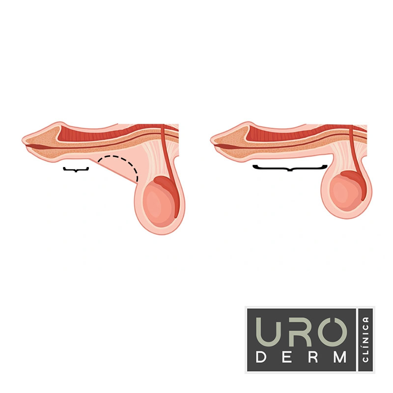 Clínica Uroderm, Urologia e Dermatologia em Montes Claros, MG